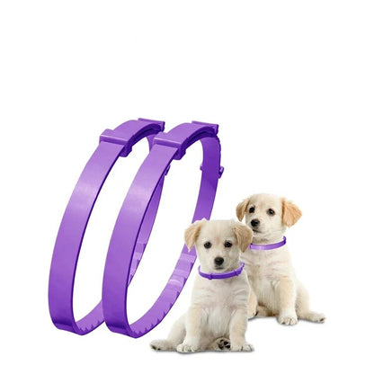 Calming Natural Lavender Oil Pet Collar